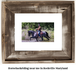 horseback riding near me in Rockville, Maryland